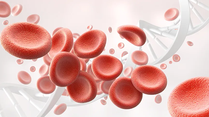 Eritrosit (RBC) Nedir?